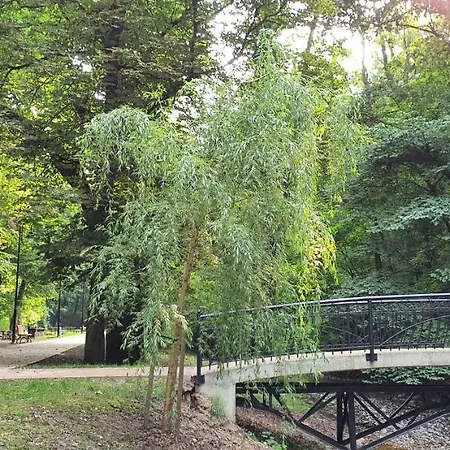 Dom W Mieście Dom wakacyjny *